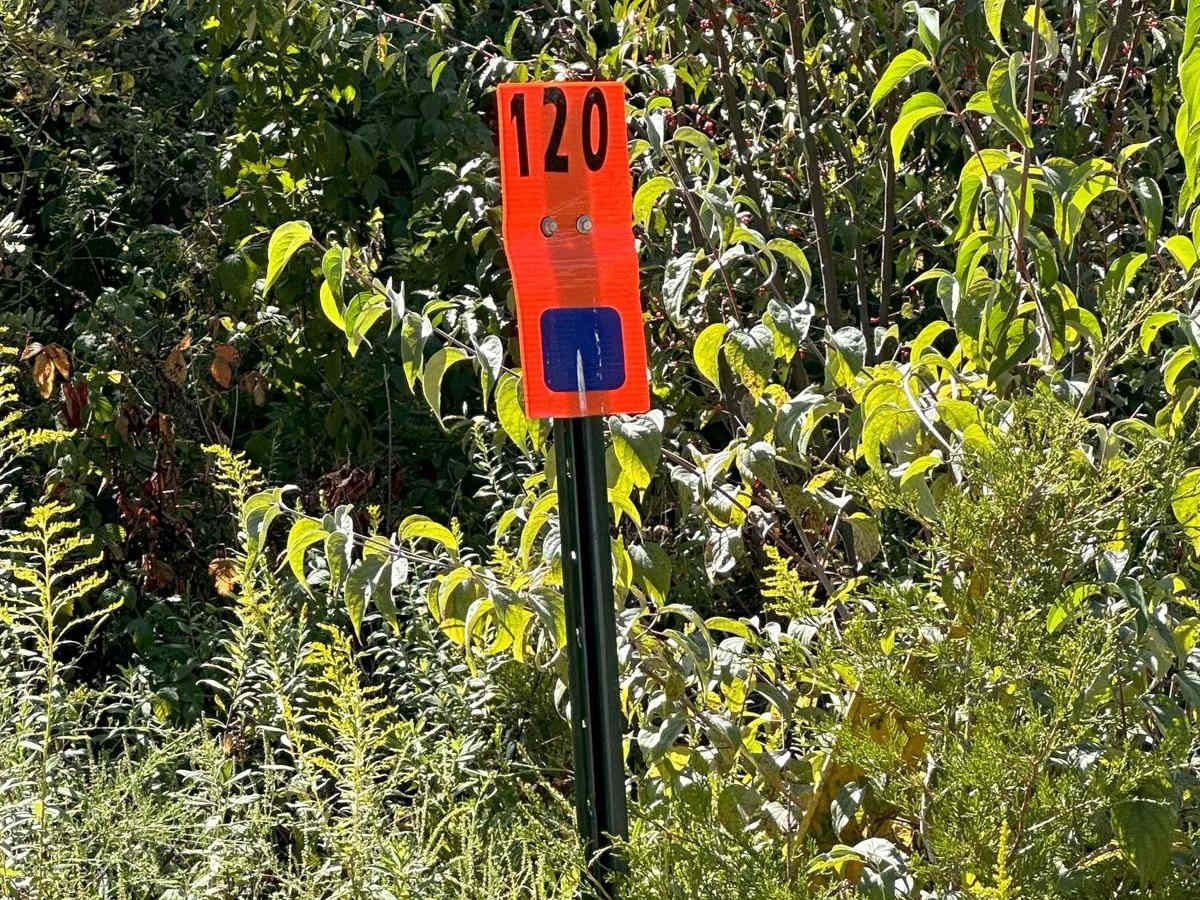 120 trail photo