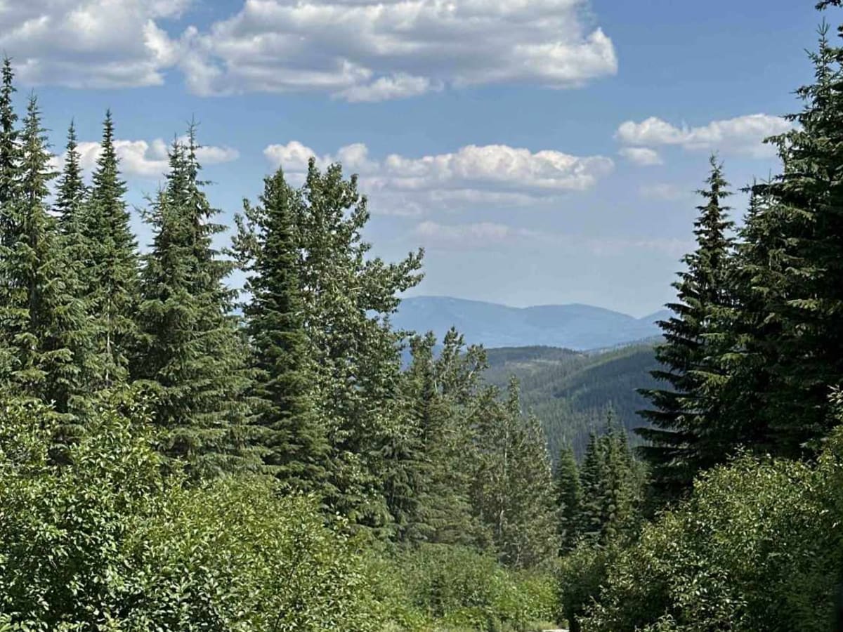 Boulder FSR photo 6