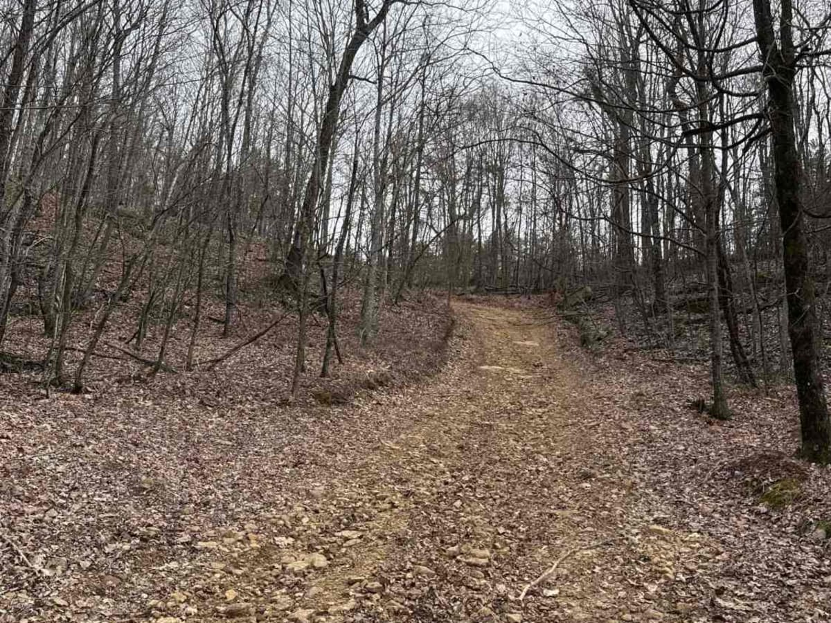 #89 Gobbler's Ridge photo 5