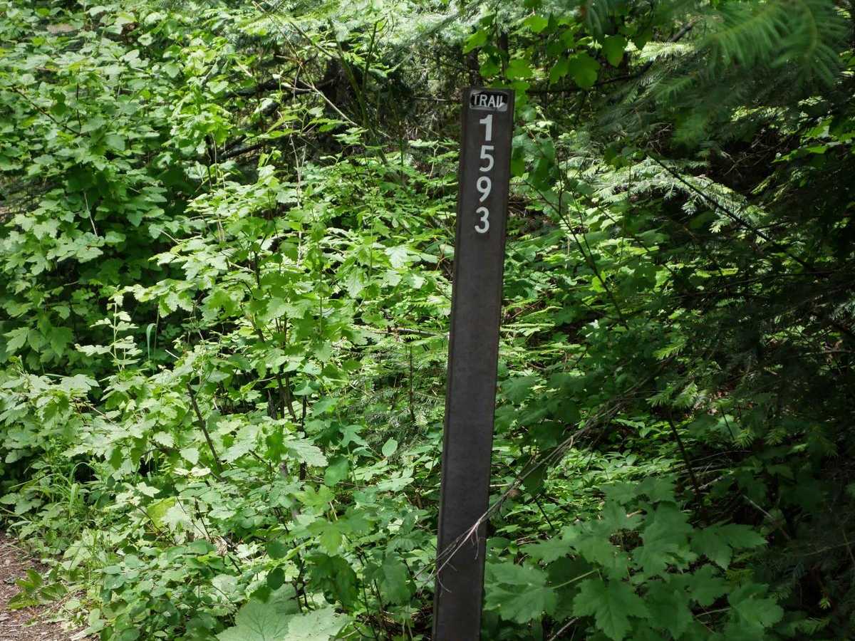 Dry State OHV photo 5