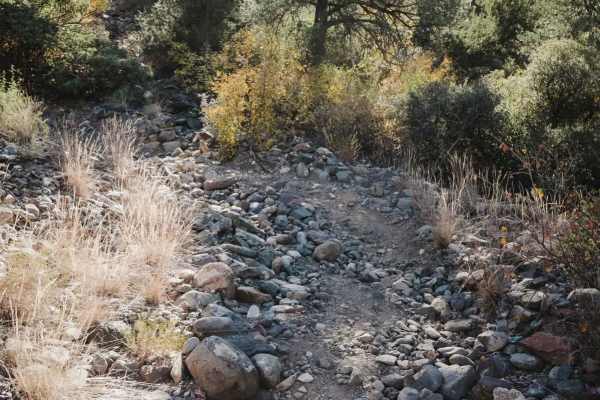 Camp Verde Trail #545 (South)