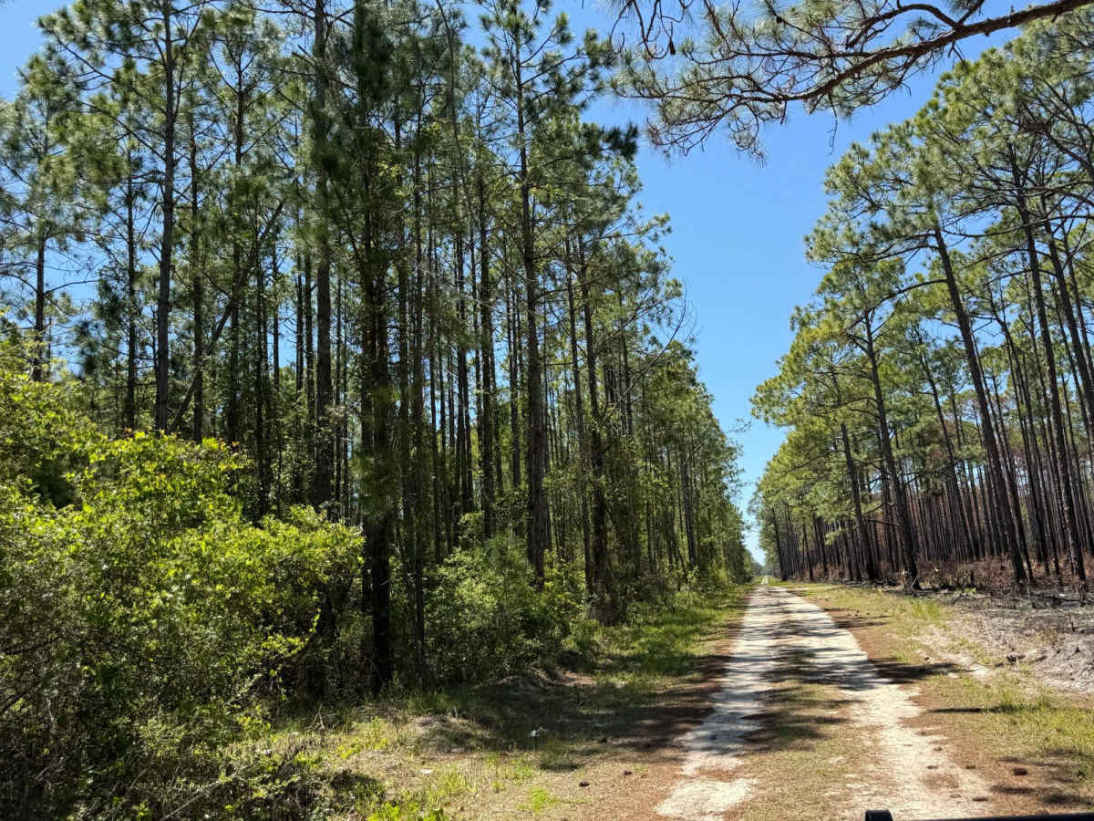 BOTOA Trail trail photo