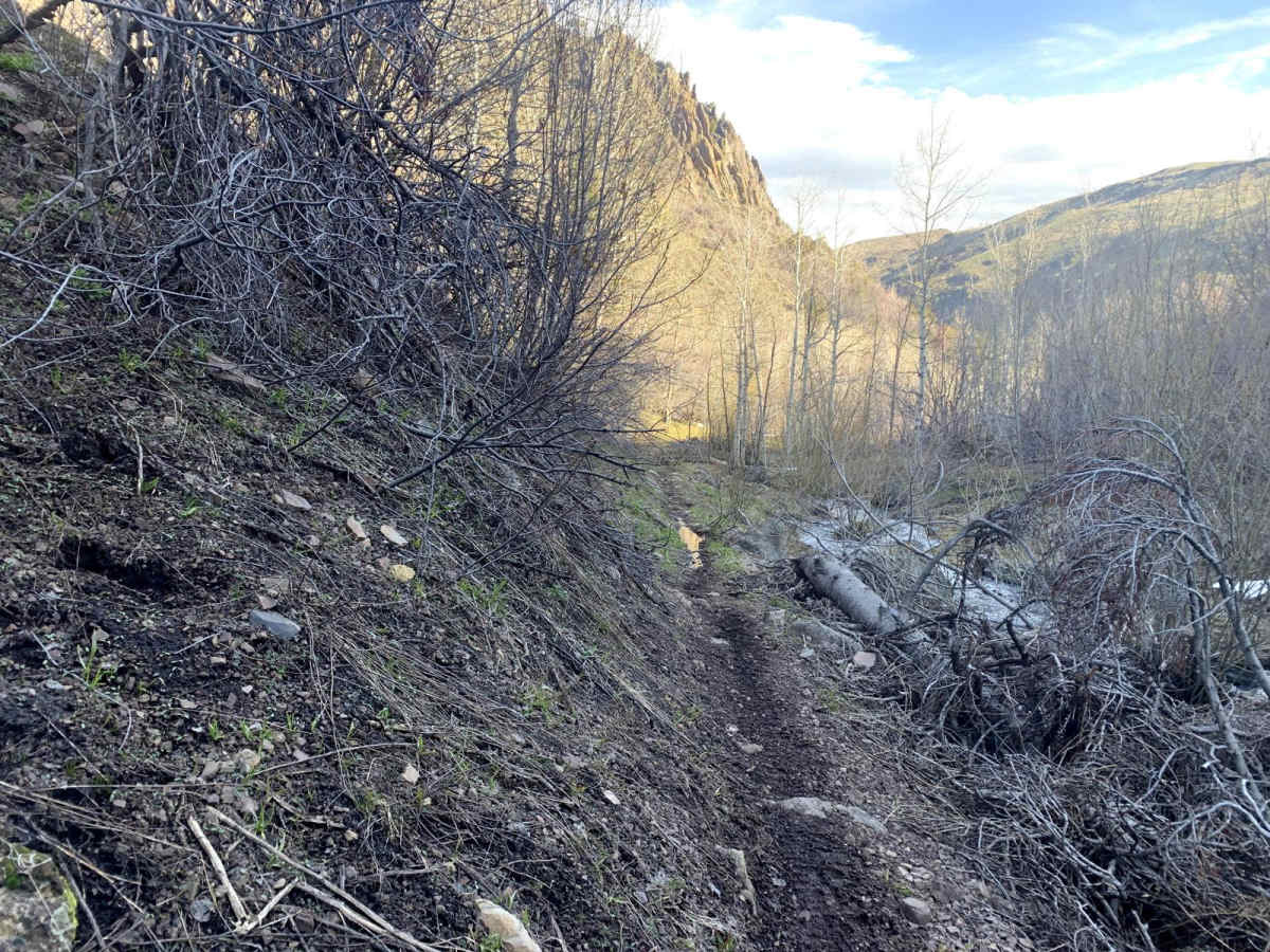 Second Fork photo 3