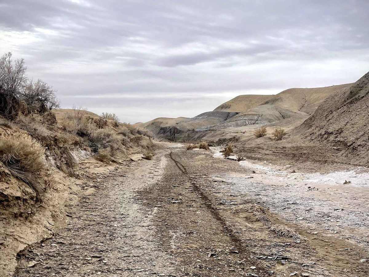 Canyon Wash - BLM 9188 photo 5