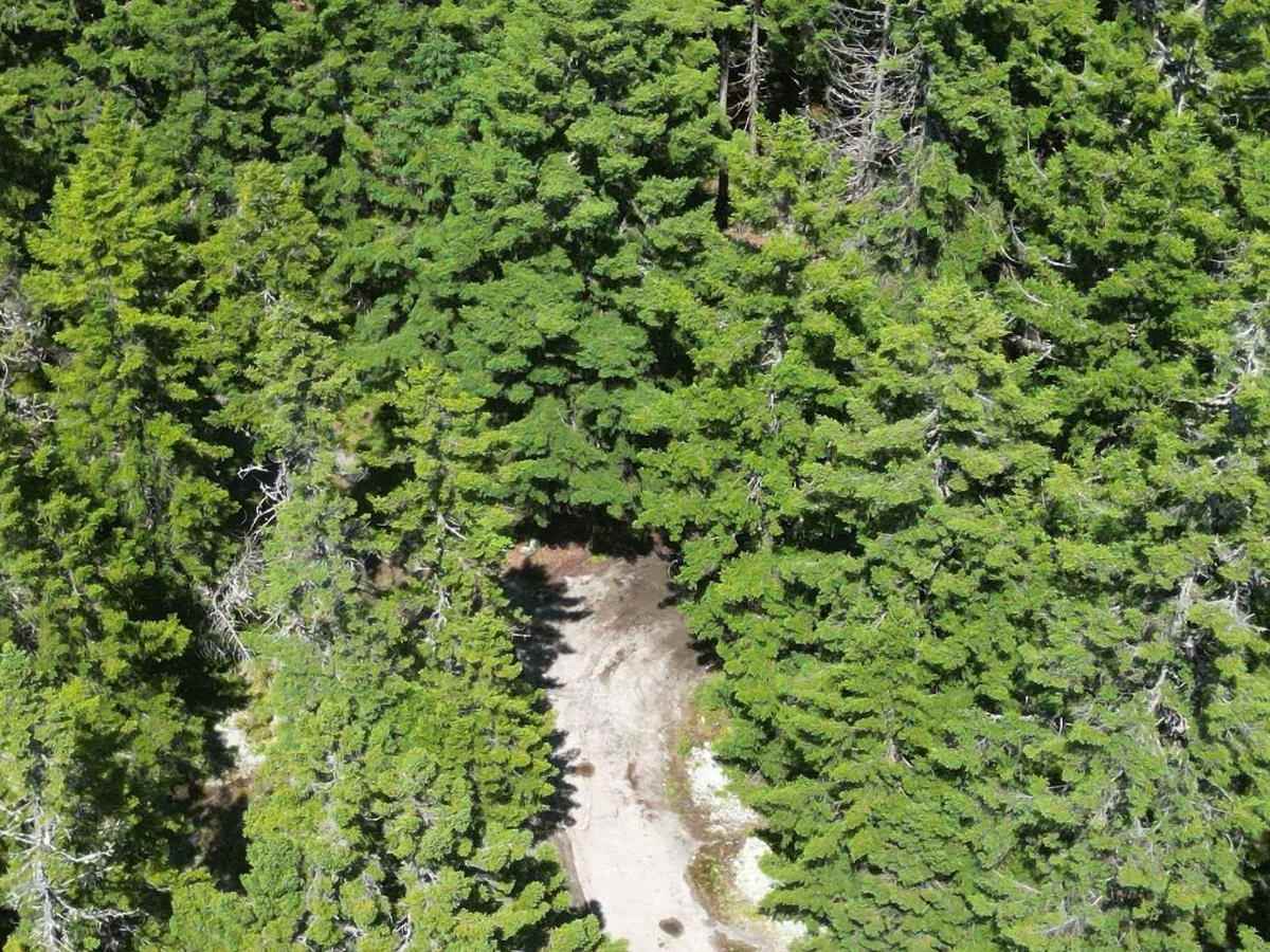 Green Hill Lookout photo 2