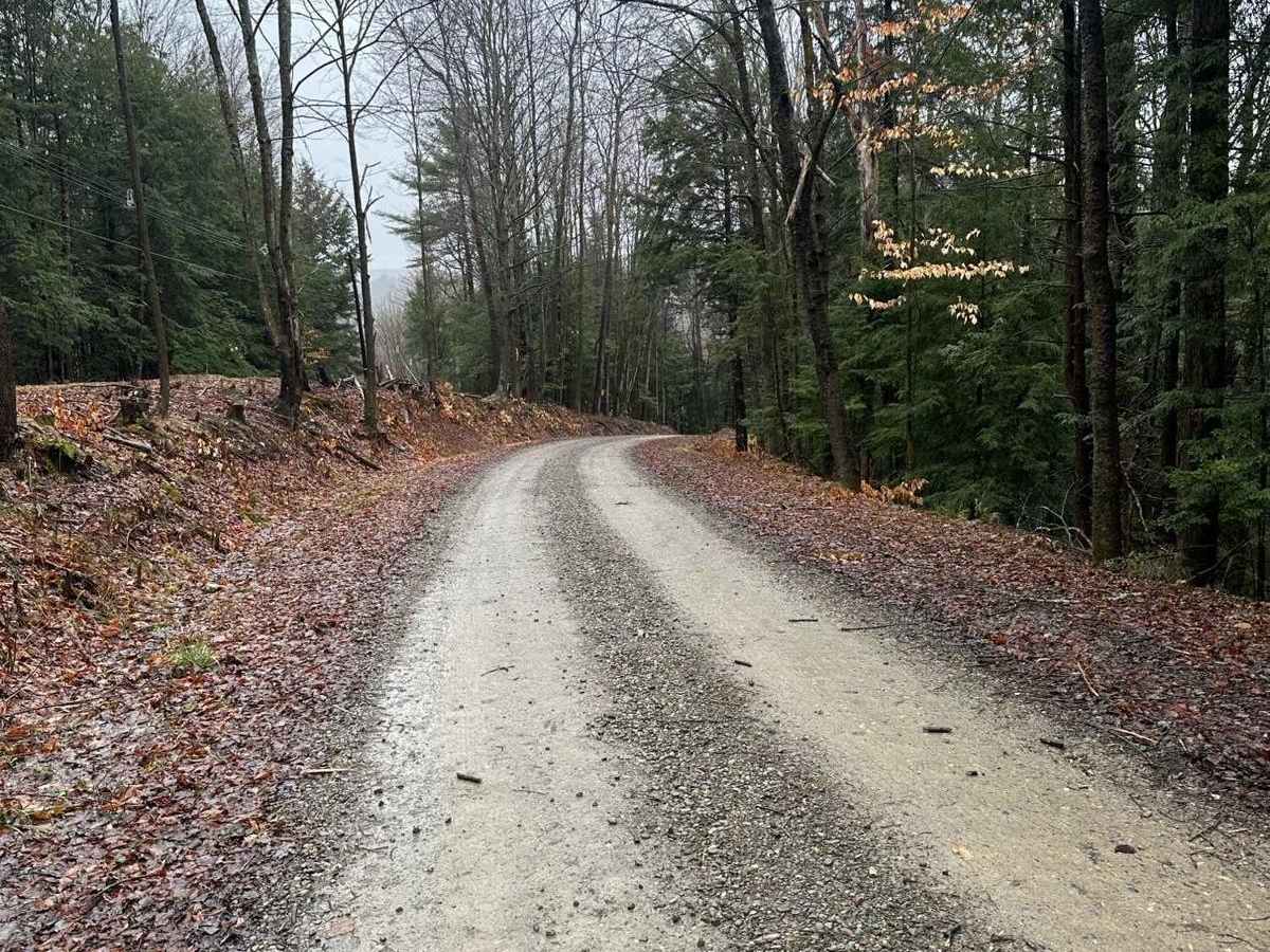 Ricewoods Road photo 2