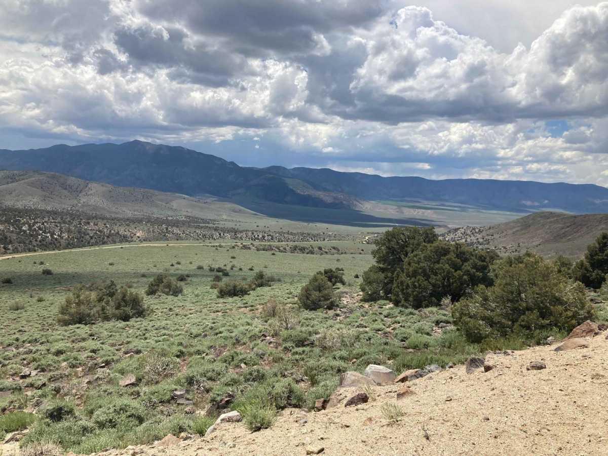 Microwave Road FS 42192 photo 3