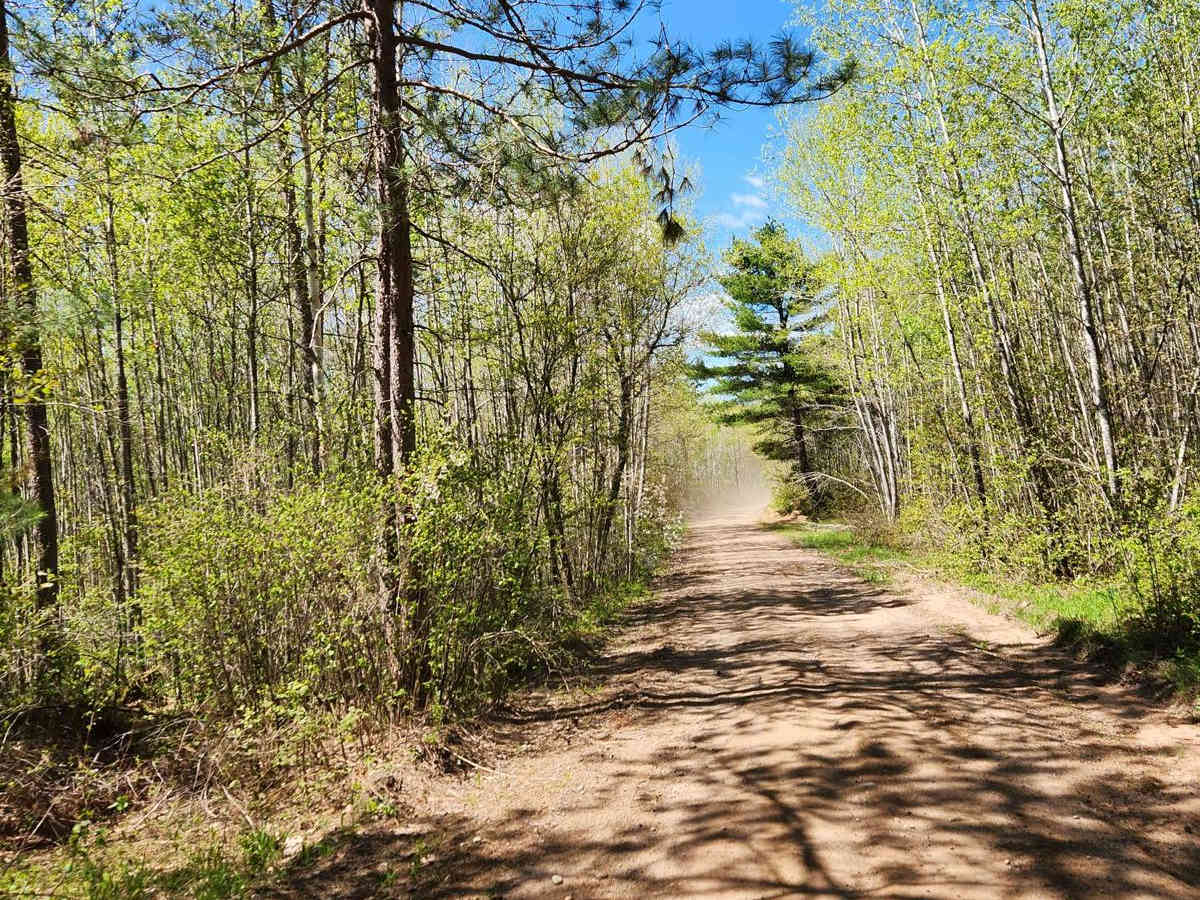 Trail 77 photo 5