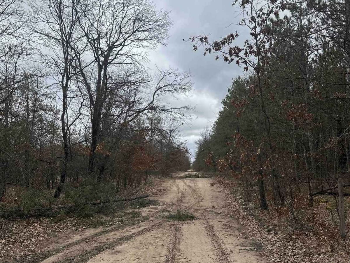 FS 4488 trail photo