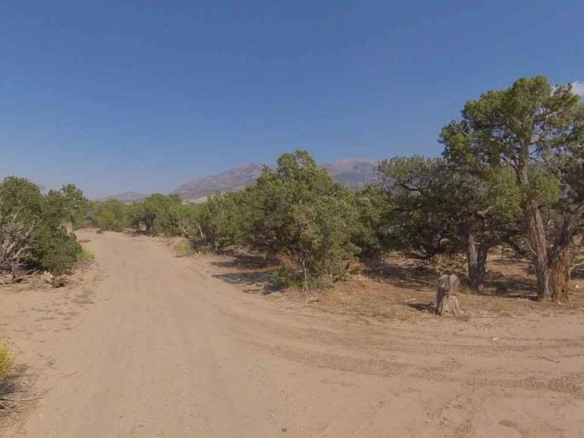 Stevens Mesa Road-BLM14100 photo 4