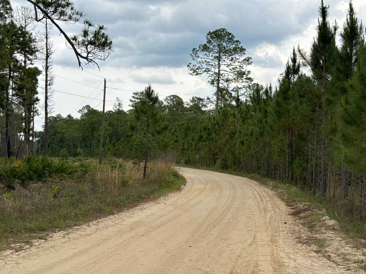 Spring Creek - ONF 6 photo 5