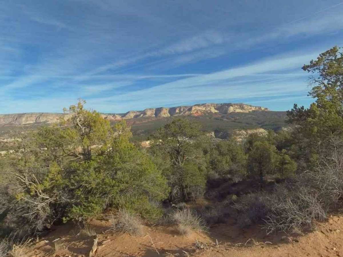 Twin Hollow BLM 98 trail photo