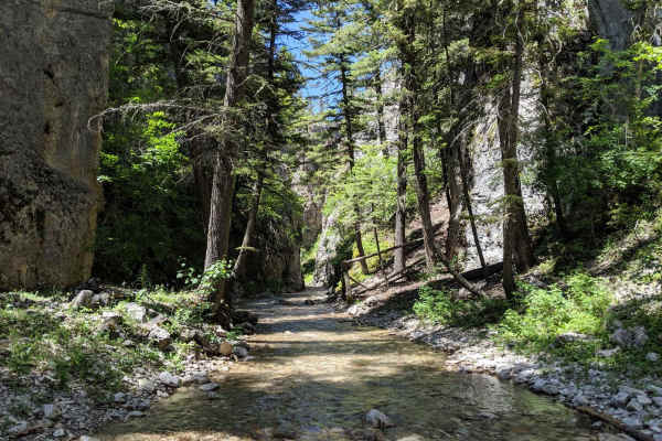 Haymaker Narrows
