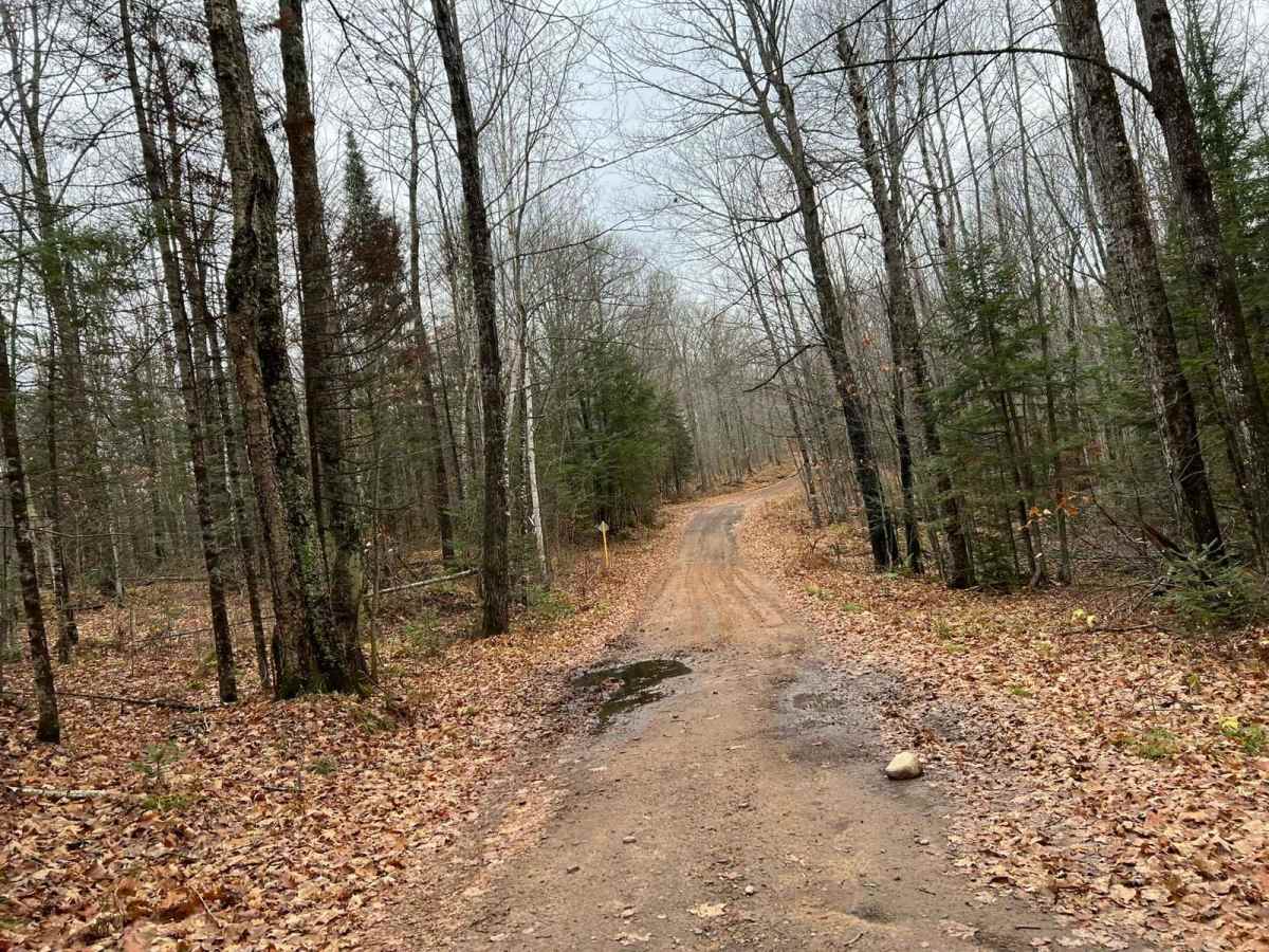Florence County F6 Mark Peters Memorial Trail photo 5