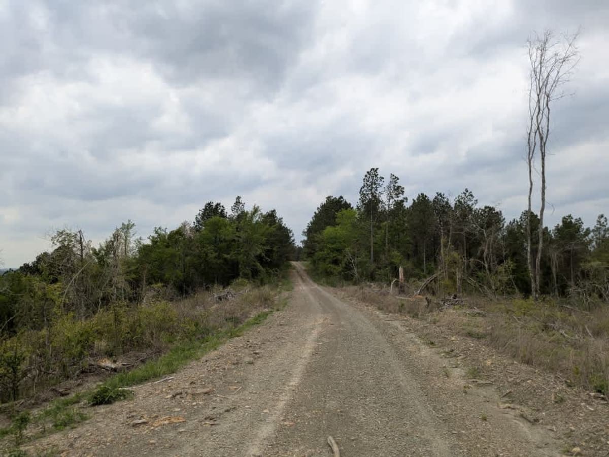 51705 photo 6