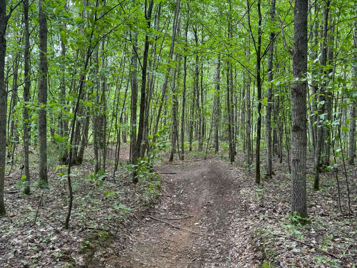Kalkaska ORV Trail - South trail photo