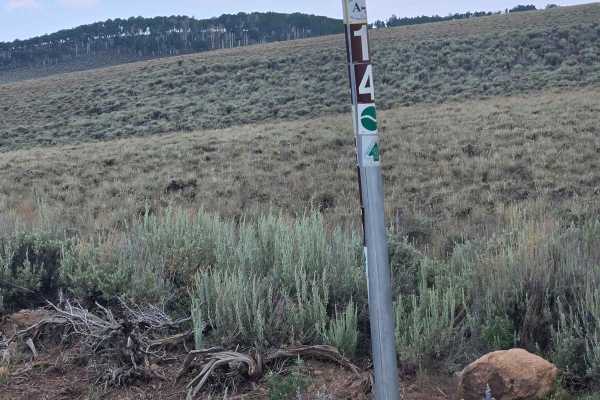 Parker Mountain Trail (PMT) 14 (continuation) to PMT 1