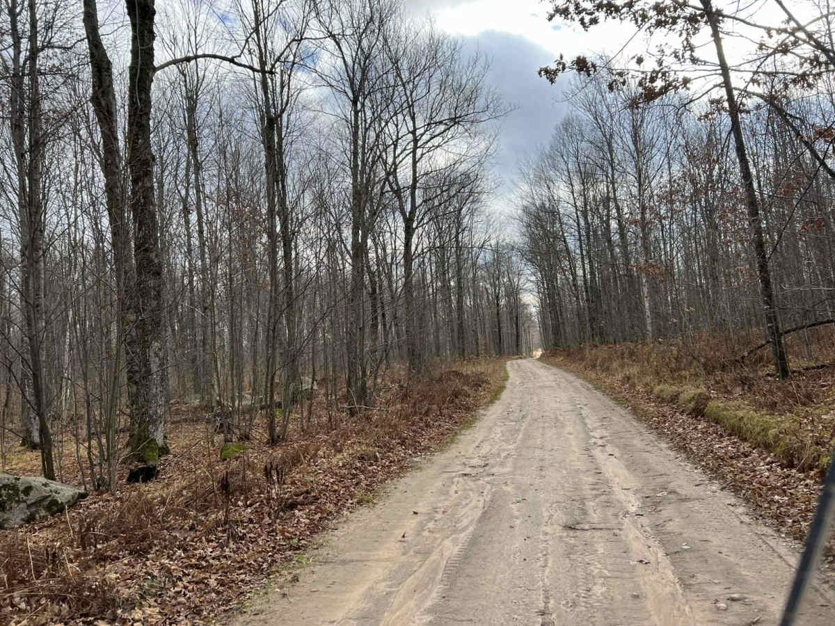Florence County Trail H- Northwoods Drive photo 4