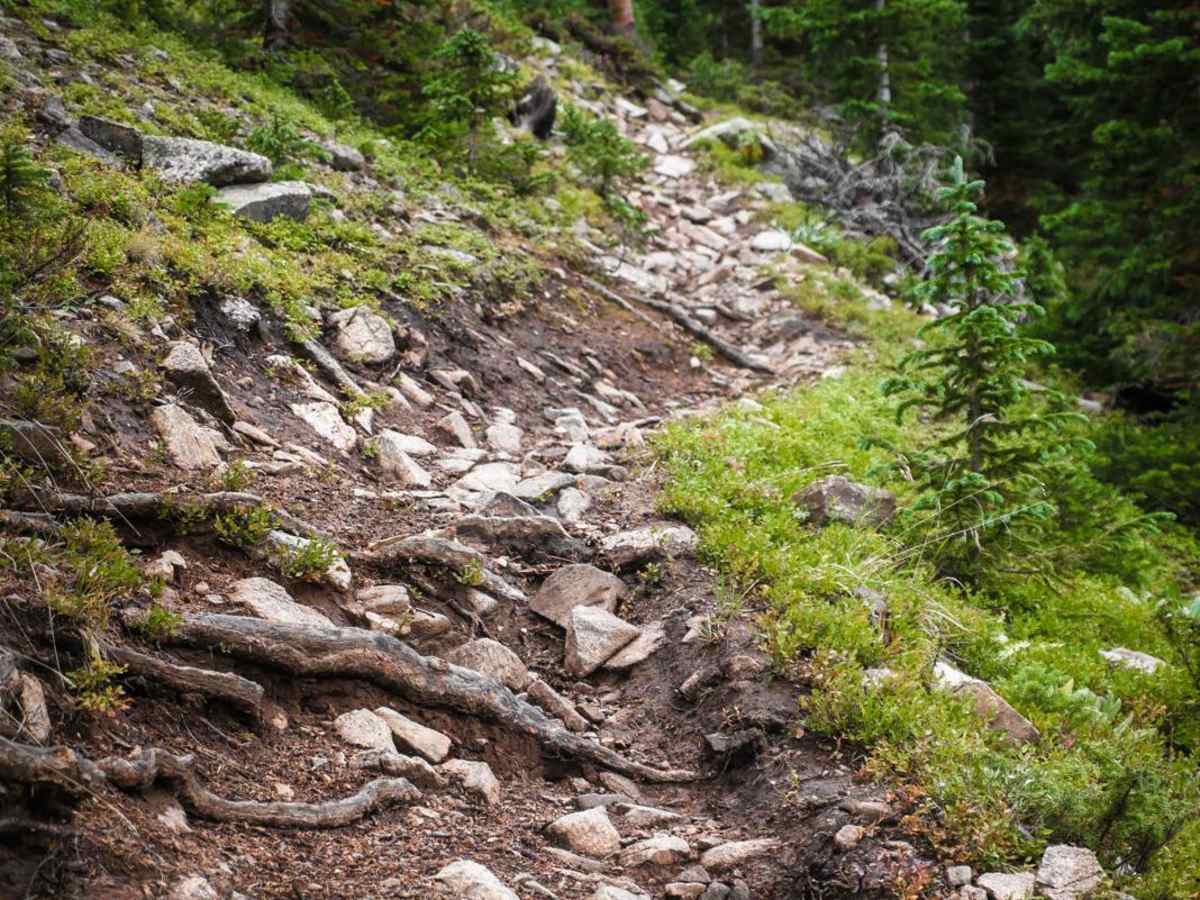 Cameron Gulch trail photo