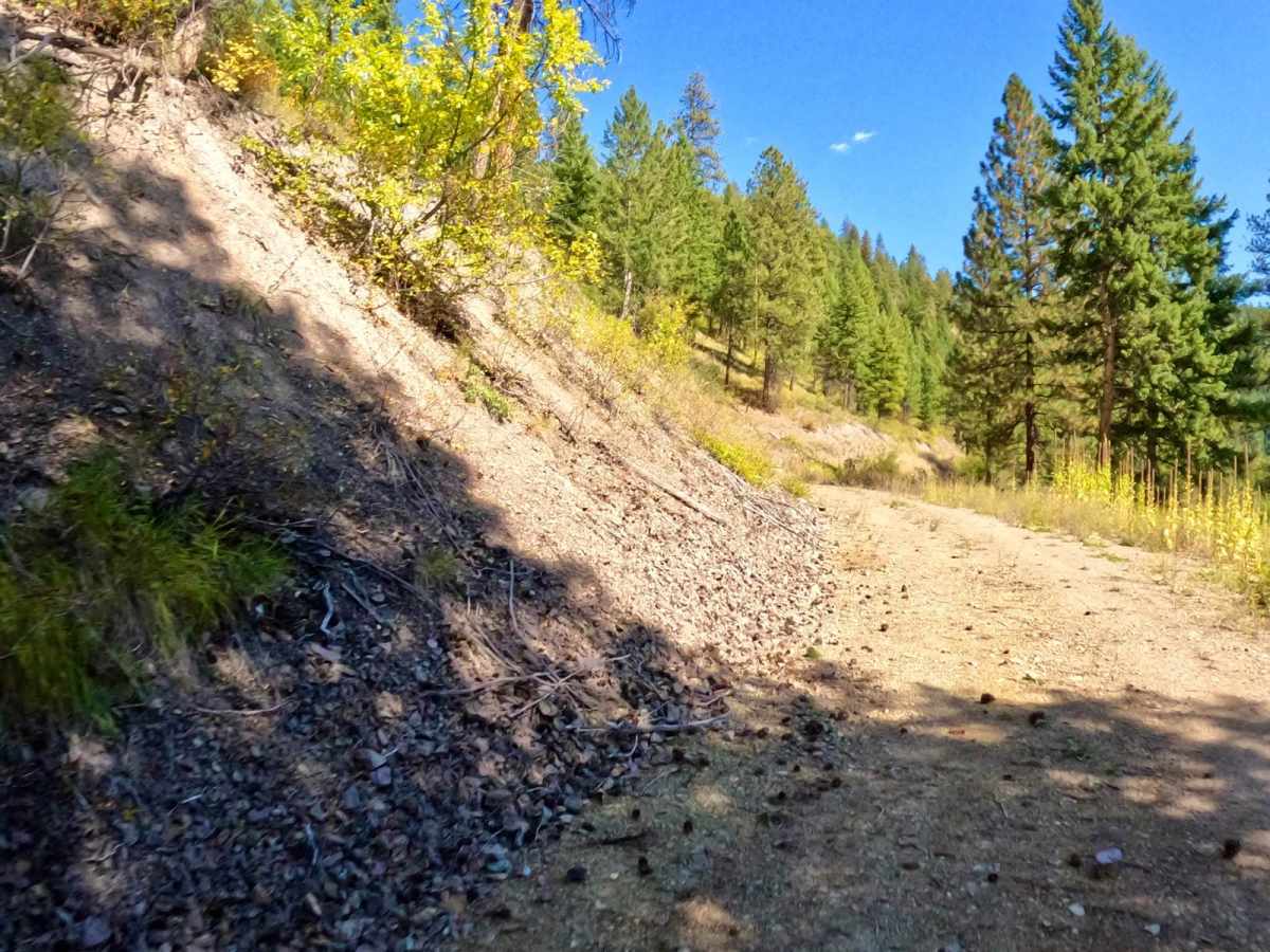 Deep Creek Road Spur Loop photo 4