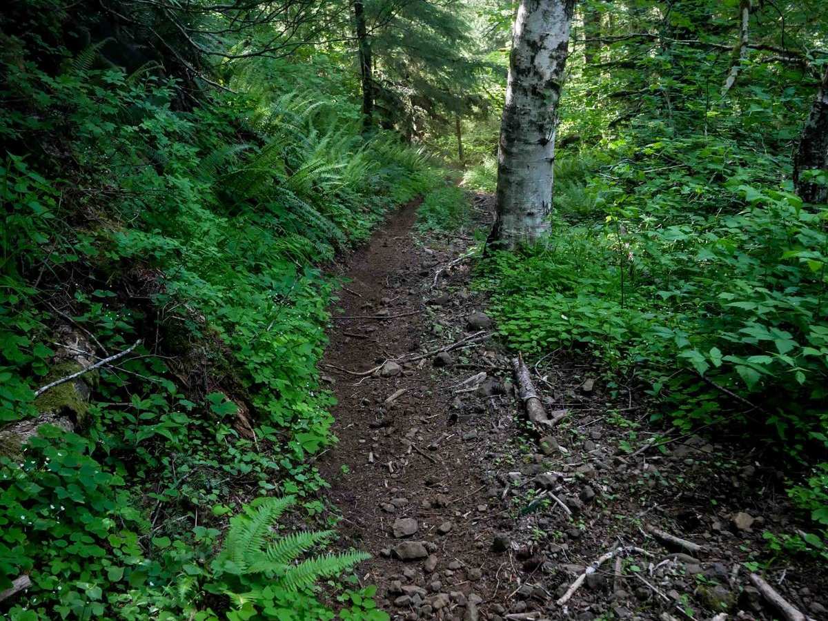 #41E ATV photo 3