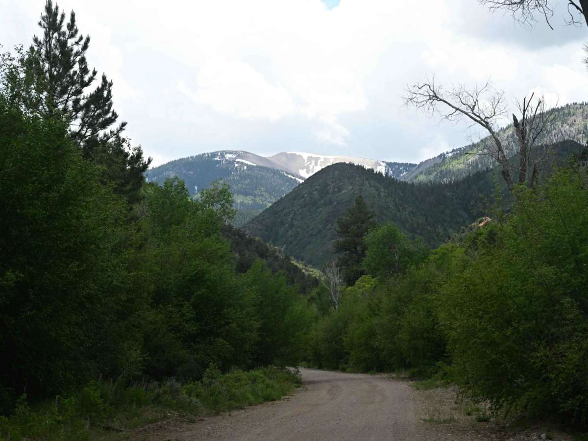 FR40113/PST 13 photo 4
