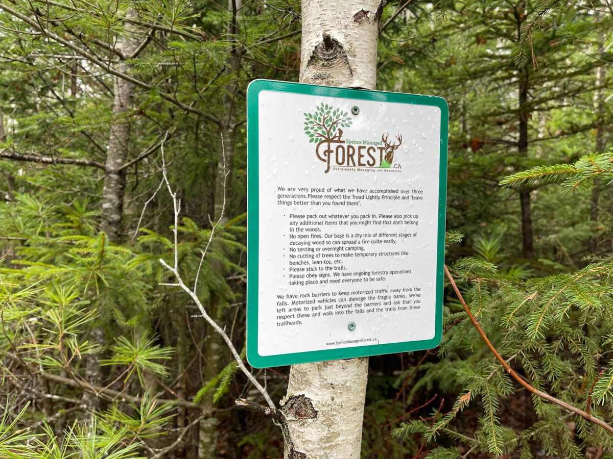 King Lake Trail photo 4