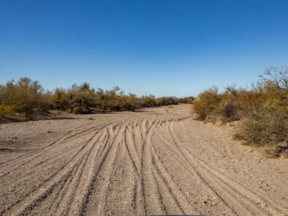 Varied Loop Trail photo 5