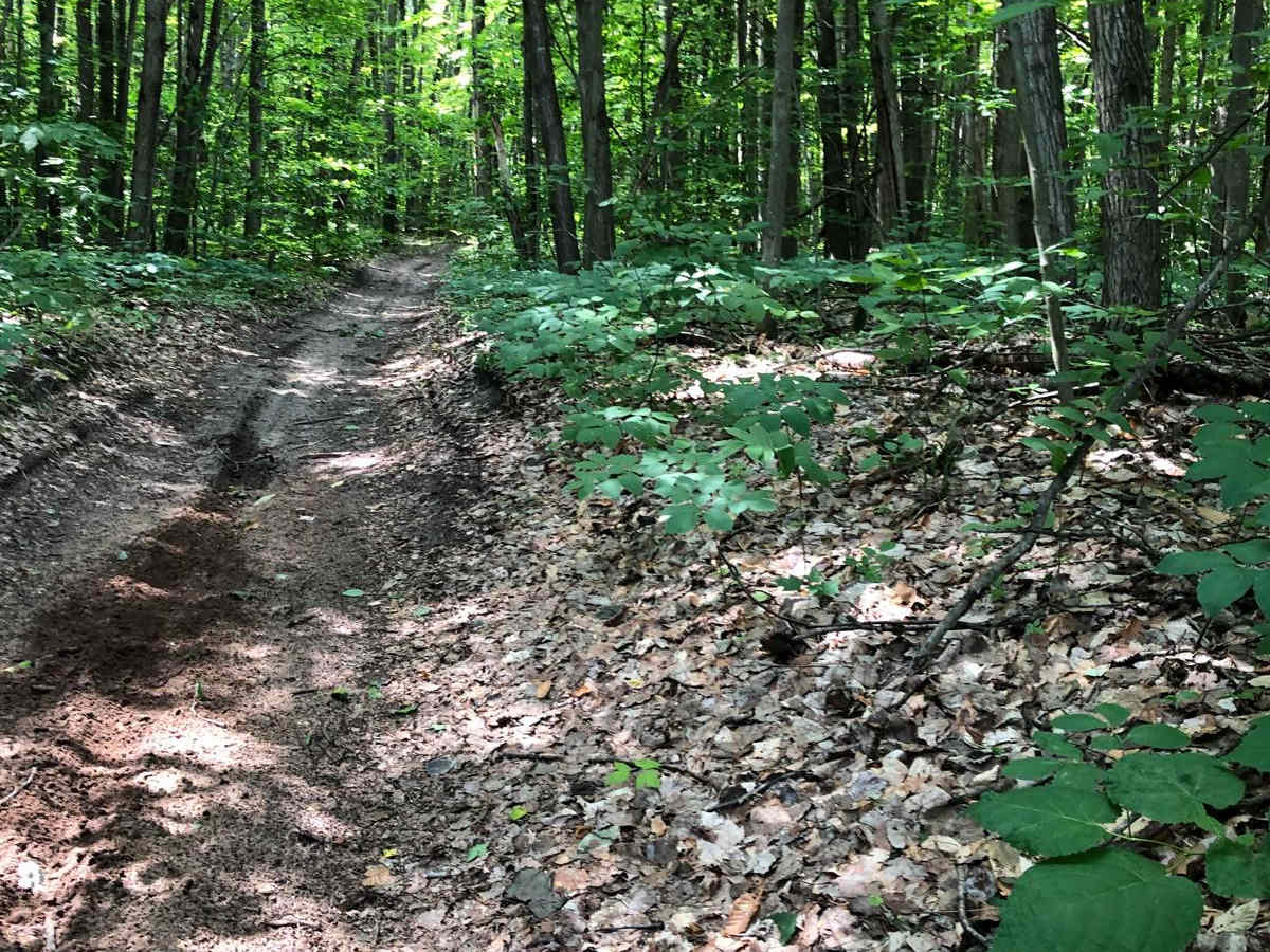 MCCCT - 66 to North 7 Mile photo 5