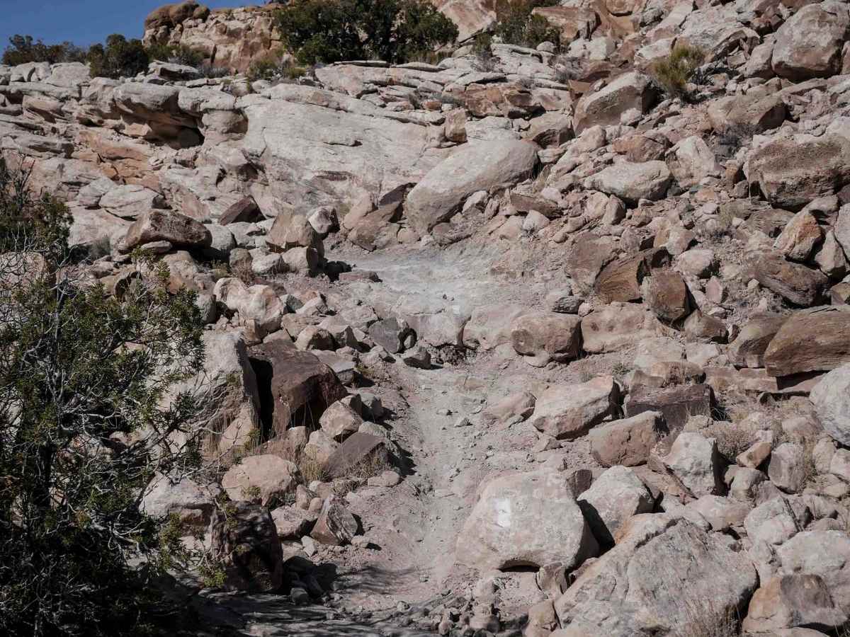 Rocky Bluff trail photo