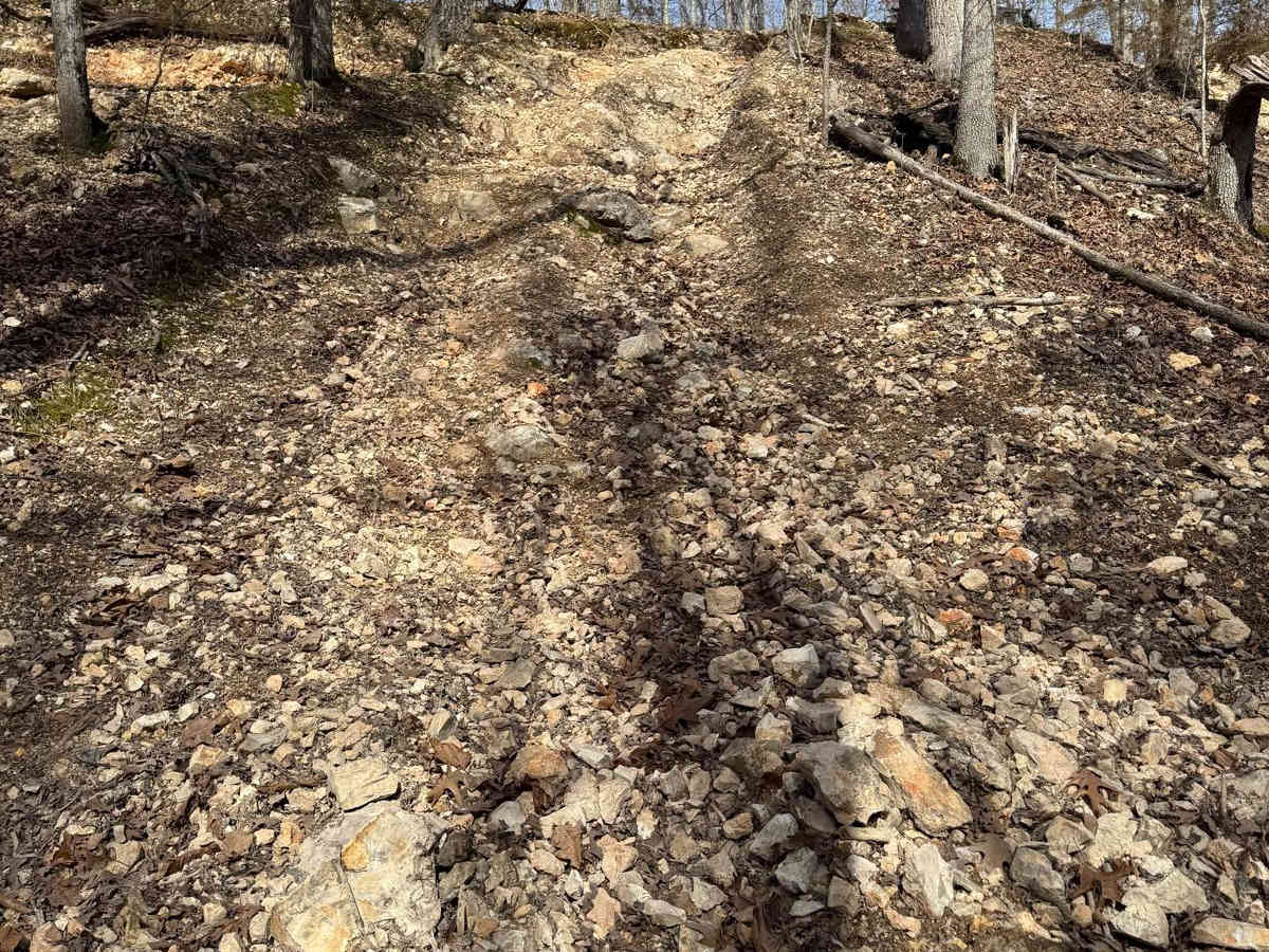 Red 372 trail photo