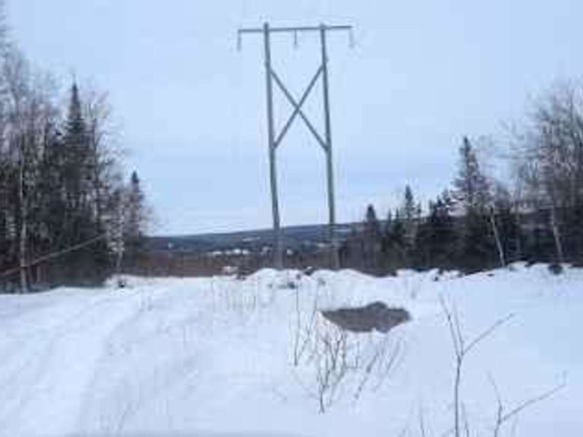Durham Bridge Hydro Line trail photo