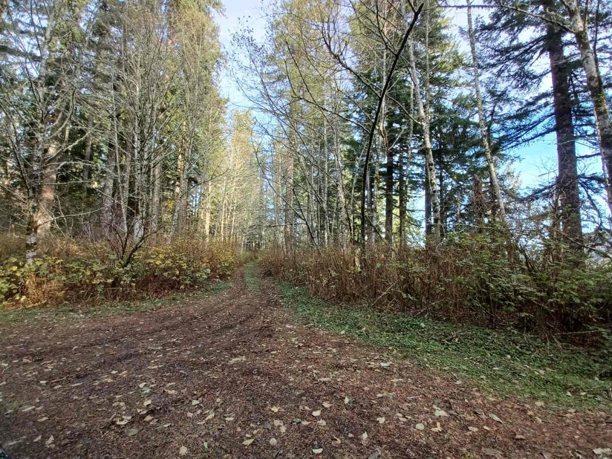 Foland Creek photo 5