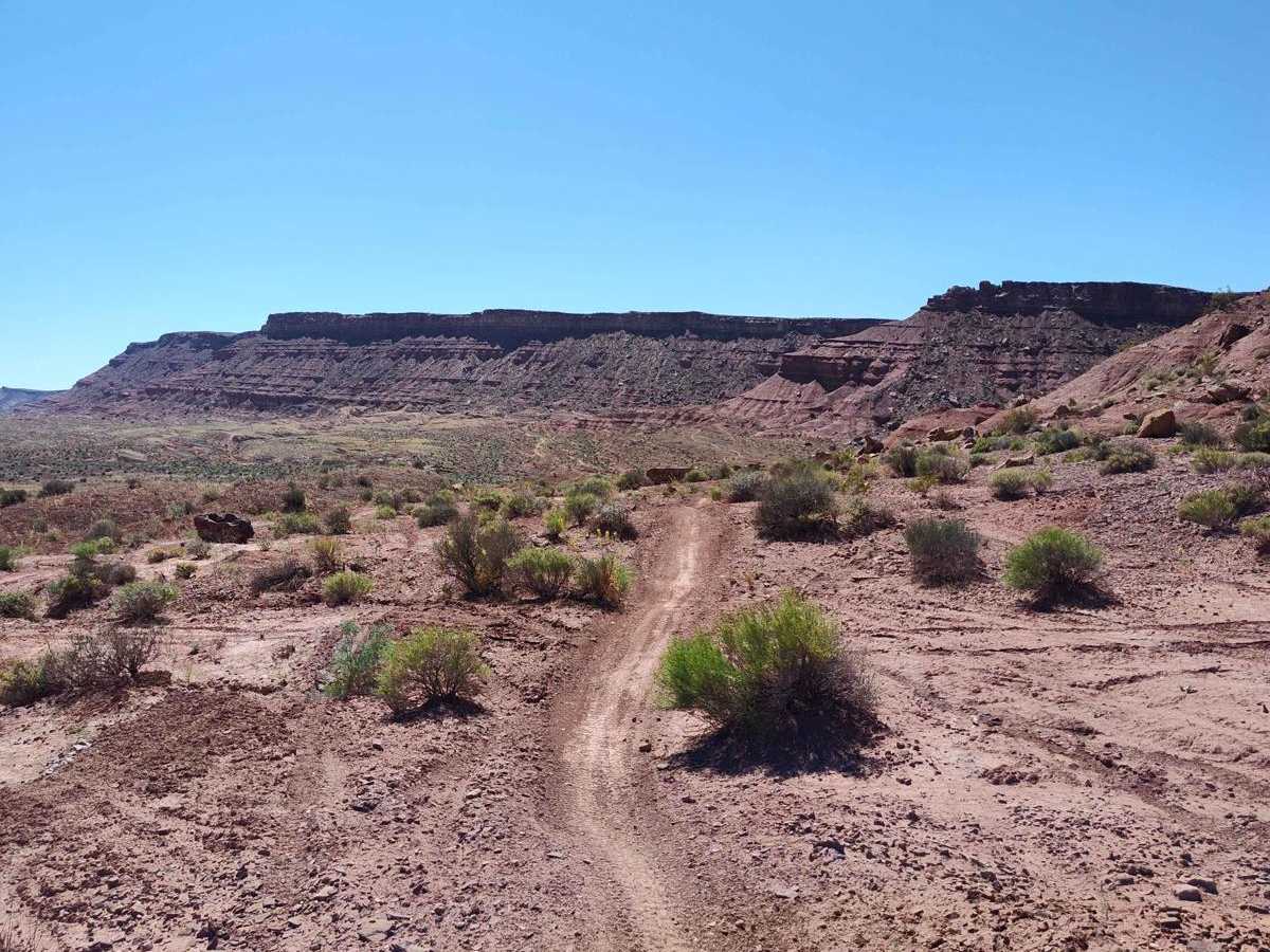 Single Track Connector photo 6