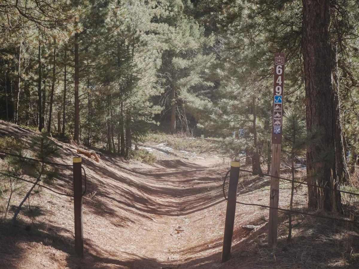649 Trout Creek ATV Trail photo 2