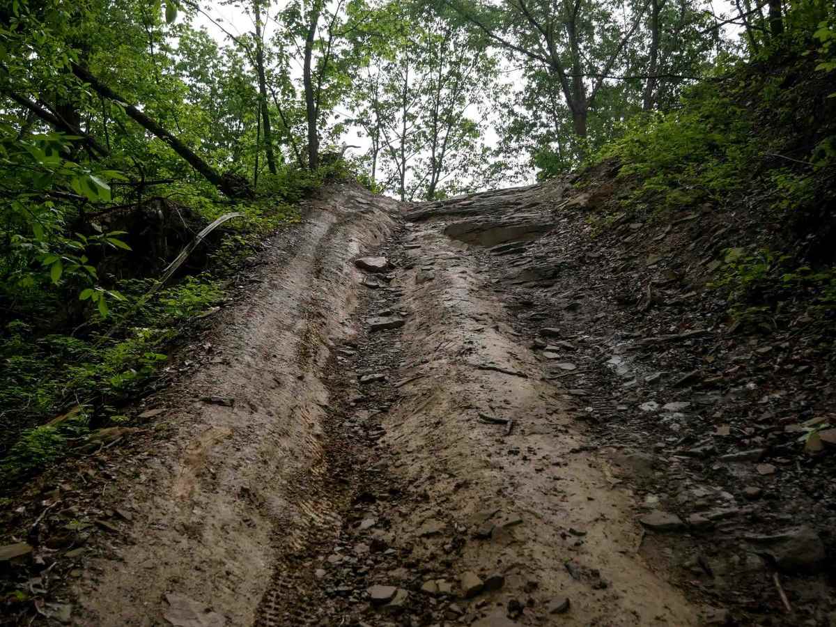 BM 48 trail photo