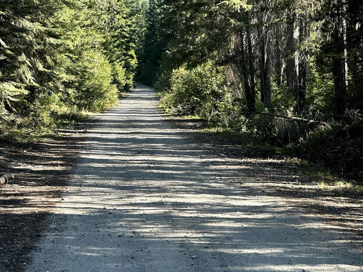 Lower Chiwawa River Road photo 3