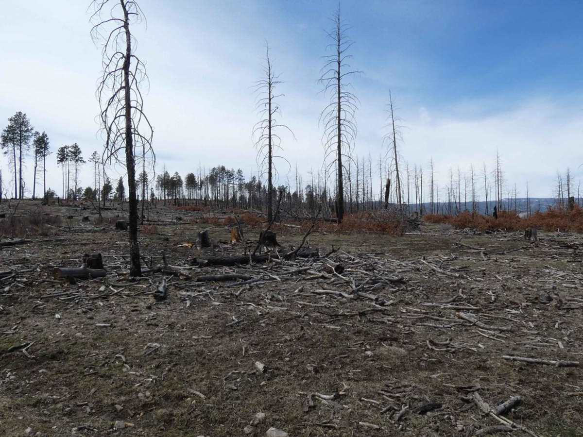 Kiowa Mountain photo 6