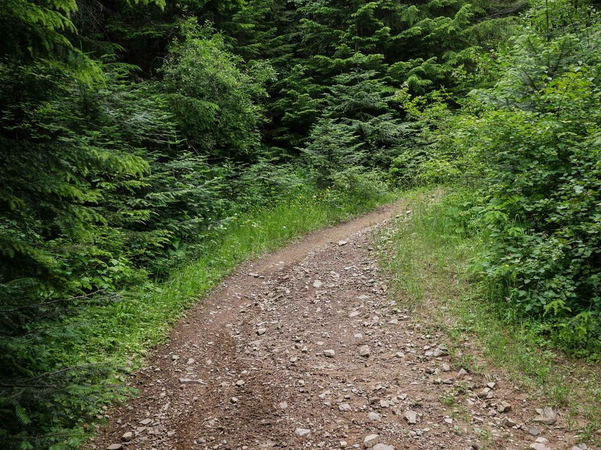 Canfield Mountain- Trail 11 photo 6