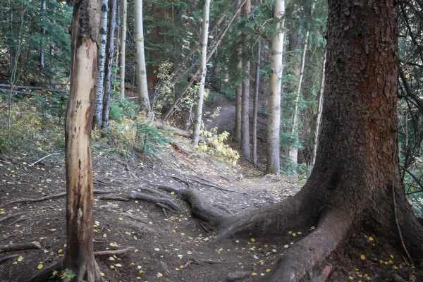 Tenderfoot Mountain