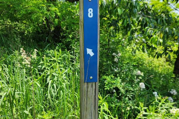 Trail 8 - Rock Run Recreation Area