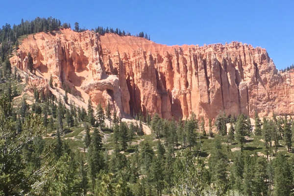 Dairy Hollow ATV Trail