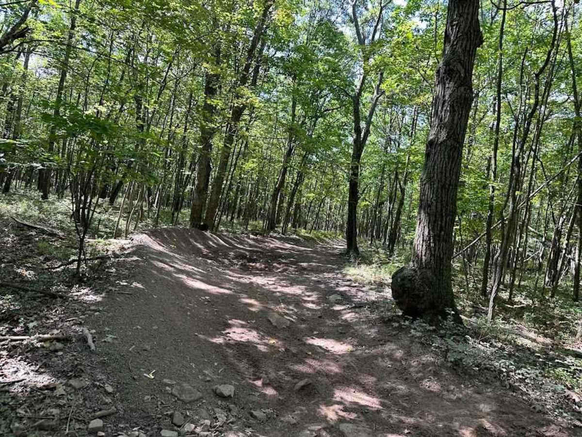 31 Green - A trail photo