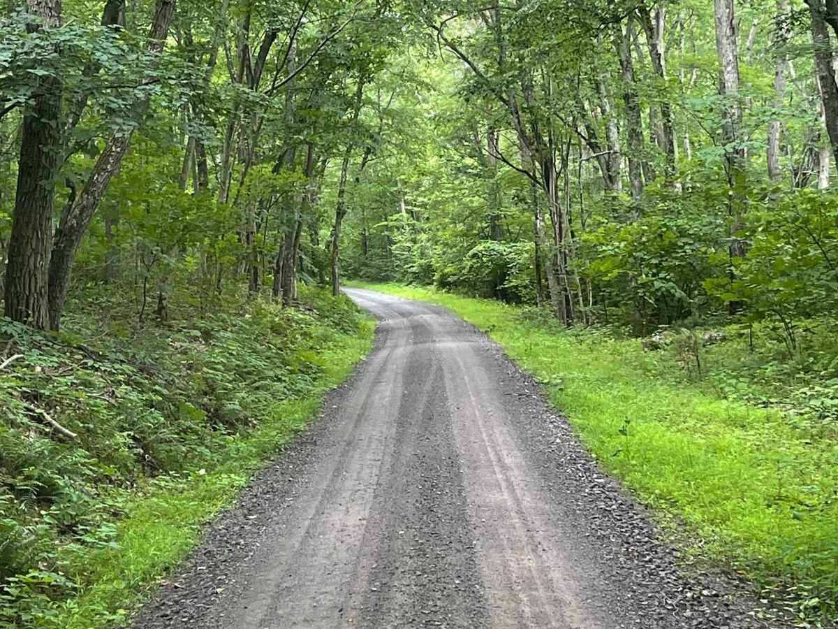 Cove Road photo 4