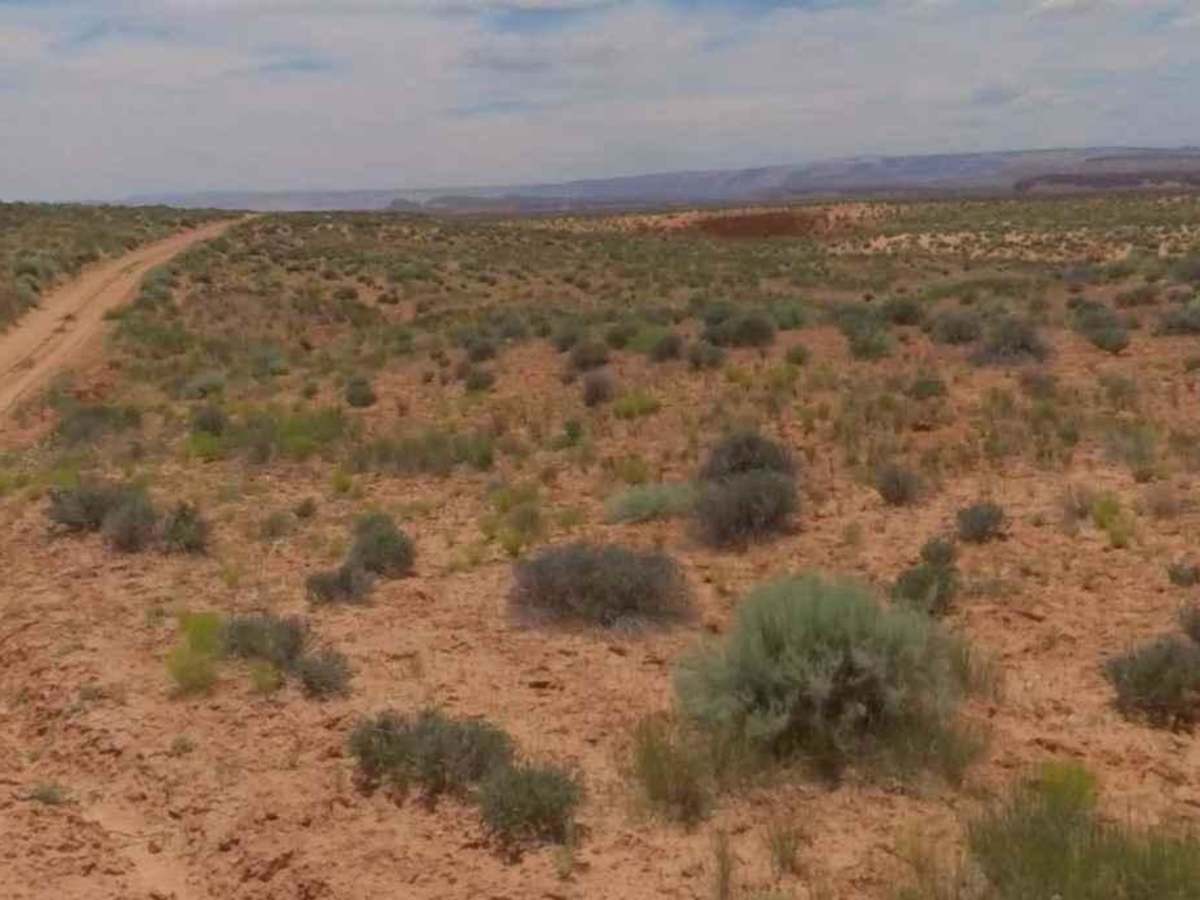 Spring Desert Road - BLM13410 photo 5