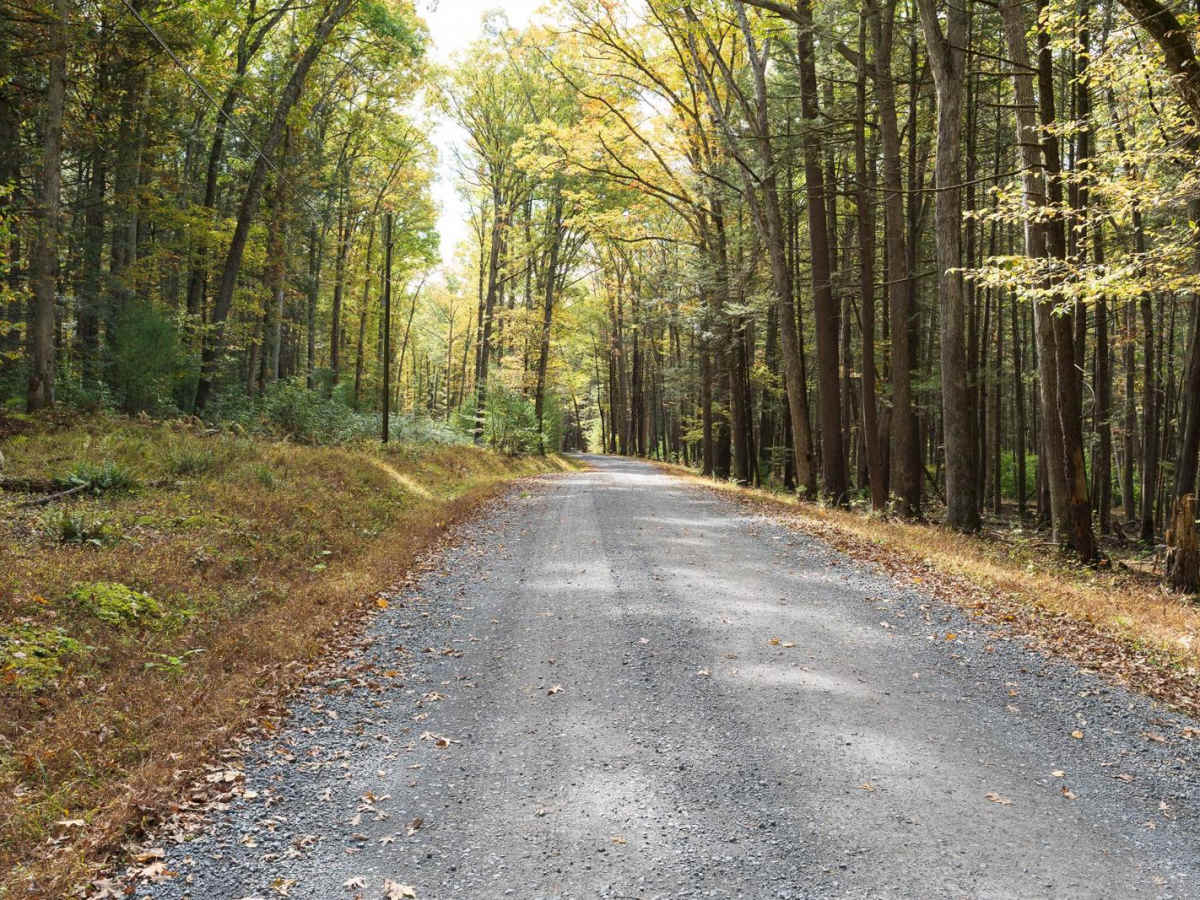 Laurel Run Road photo 5