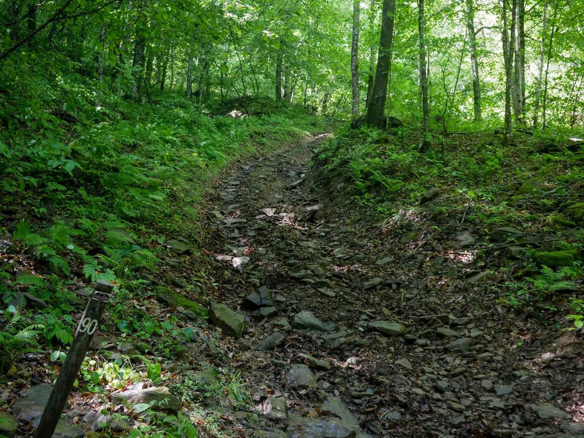 CC90 trail photo