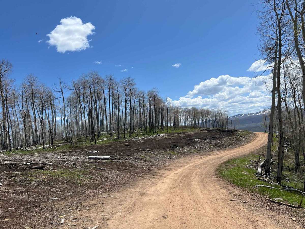 Kweeyahgut Creek Road photo 3