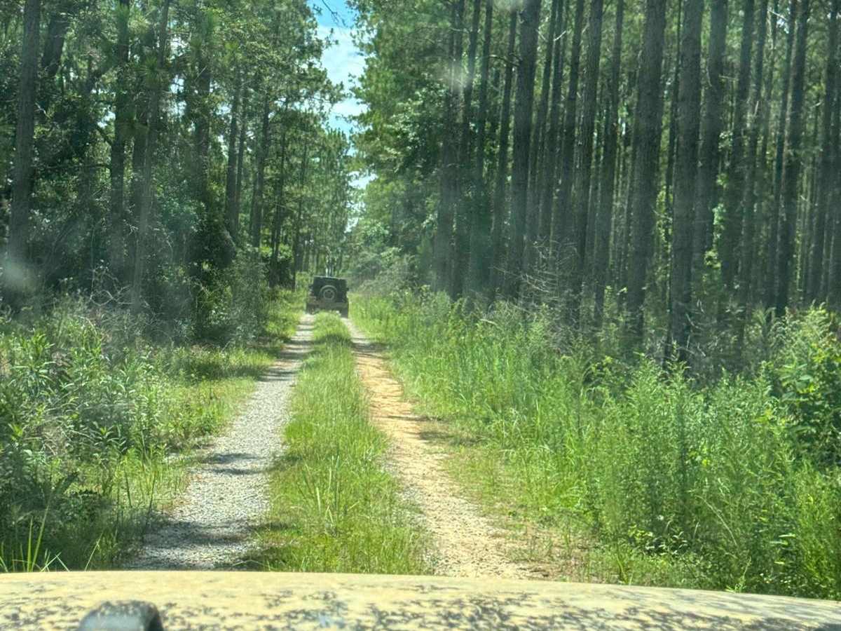 Blackwater River Route 2 photo 4