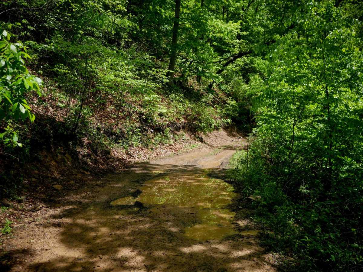 DA 82 photo 3